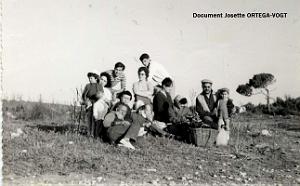 Oran- SDV- 0395